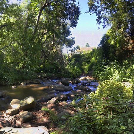 Brevisbrook B&B Pietermaritzburg Eksteriør bilde